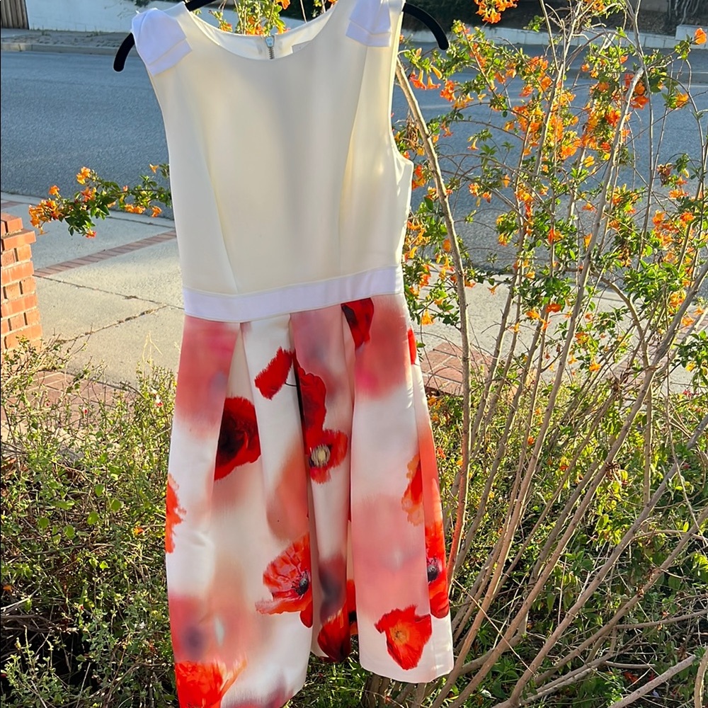 Floral Sleeveless Dress